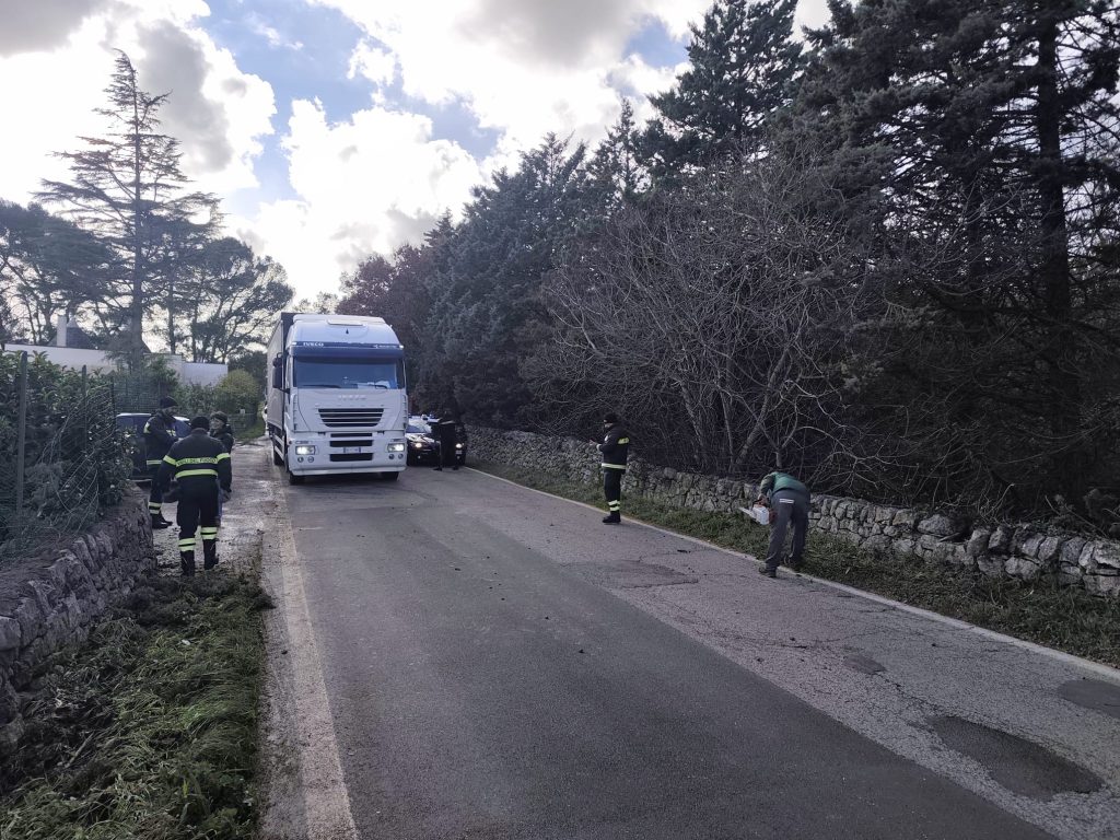 Albero crollato sulla SS172 dopo le forti raffiche di vento, intervento dei Vigili del Fuoco per la messa in sicurezza