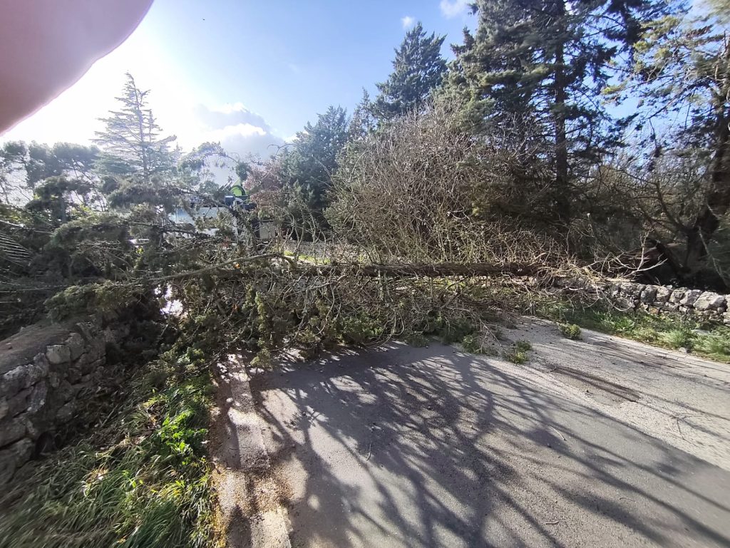 interventi vigili del fuoco Puglia per albero caduto su strada