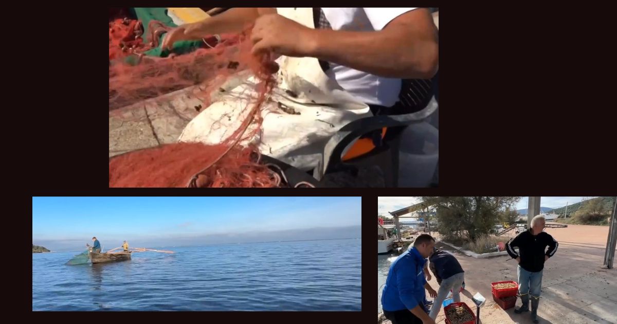 Via libera ai ristori per la pesca: sostegno straordinario contro il caro carburante