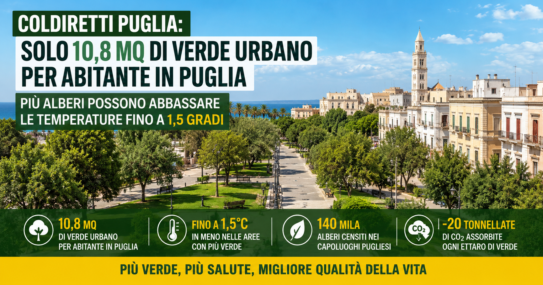 Puglia soffocata dal caldo, Coldiretti: “Servono più alberi nelle città” - Notizie Puglia PugliaPress